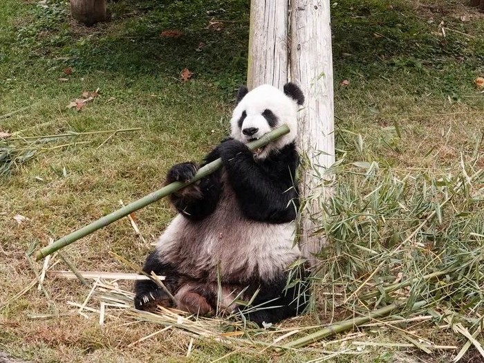 1_副本.jpg 1_副本.jpg