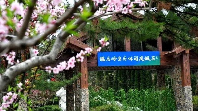5.webp_副本.jpg 5.webp_副本.jpg