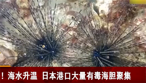 屏幕截图 2023-02-25 150554.png 屏幕截图 2023-02-25 150554.png