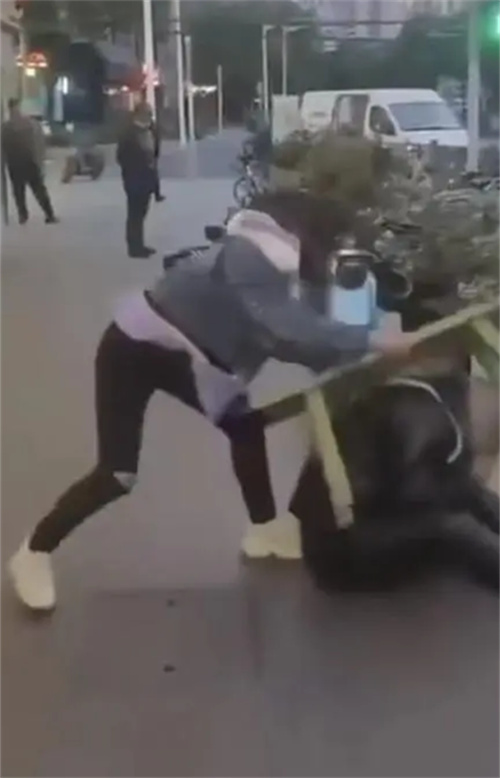 0008.jpg 0008.jpg